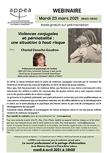 affiche Webinaire Violences conjugales et périnatalité :  une situation à haut risque