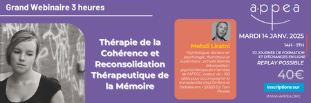 illustration [Grand webinaire 3h] Mardi 14 janvier 2025 (14h-17h) - Thérapie de la Cohérence et Reconsolidation Thérapeutique de la Mémoire